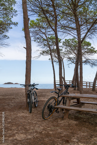 Fototapeta Naklejka Na Ścianę i Meble -  Pause bei einer Fahrradtour Fahrräder lehnen an Bäumen und Bank am Strand mit Blick auf Meer