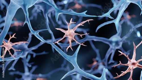 Glial cell, Microglia illustration photo