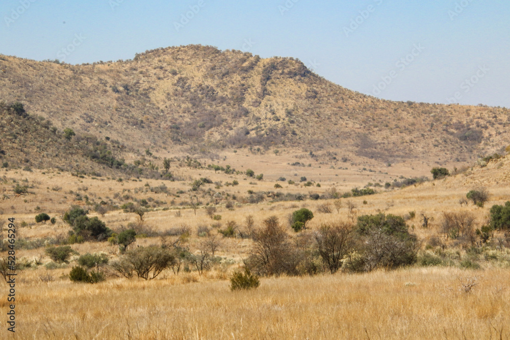 landscape of the mountains