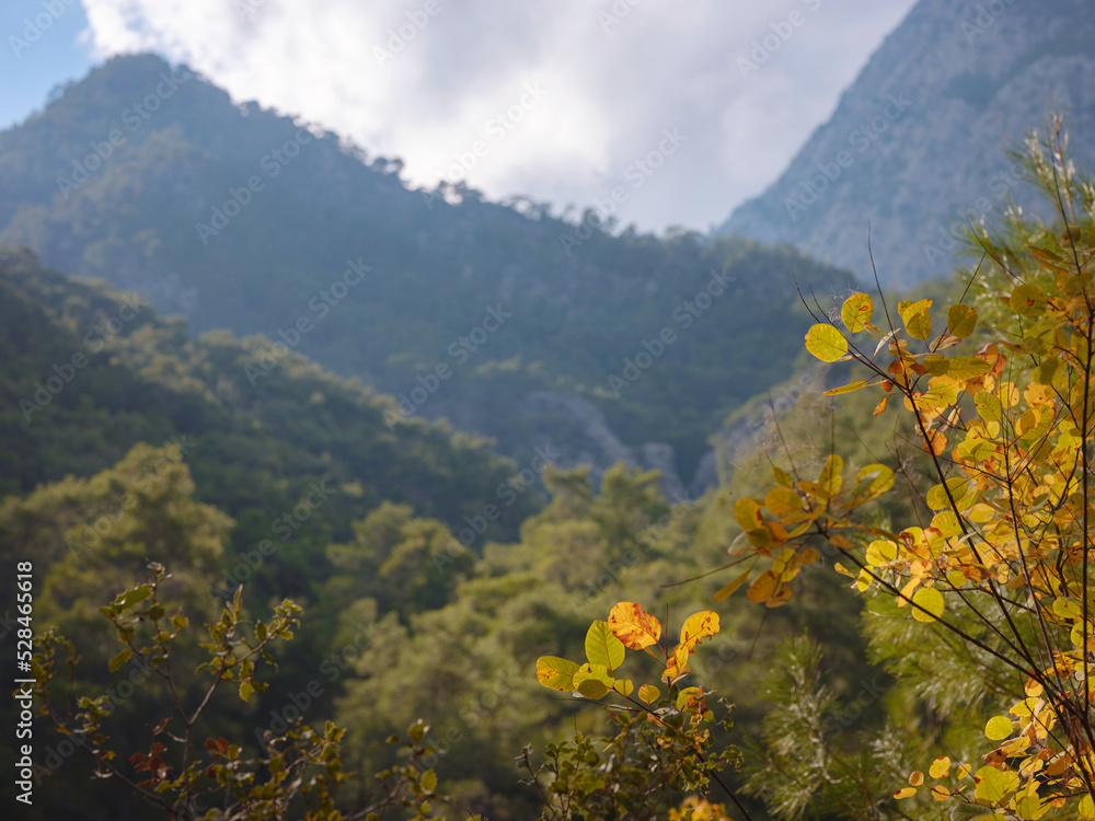 Fototapeta premium travel to Turkey, Kemer in autumn seasone. famous part of Lycian Way, Goynuk Canyon. Wonderful morning scene of Turkey, Asia. Beauty of nature concept background.