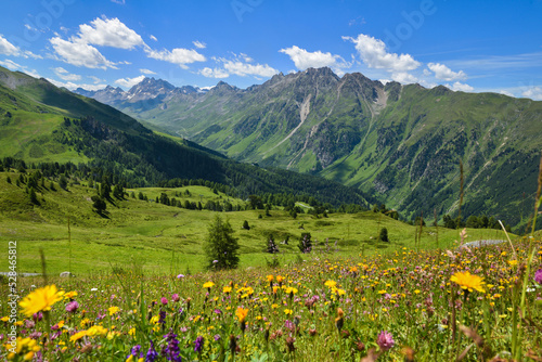 Scenic mountain landscape with alpine blooming meadows. Location place Alps, Europe. © nmelnychuk