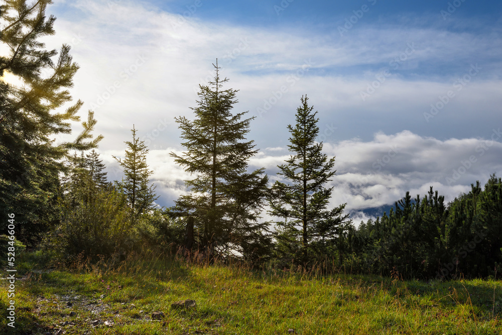 A wonderful sunny morning in the mountains after the rain. A wonderful sunny morning in the mountains after the rain.