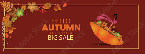 hello Autumn stylish background decorate with leaves and fruits. web banner. Vector illustration poster template design.