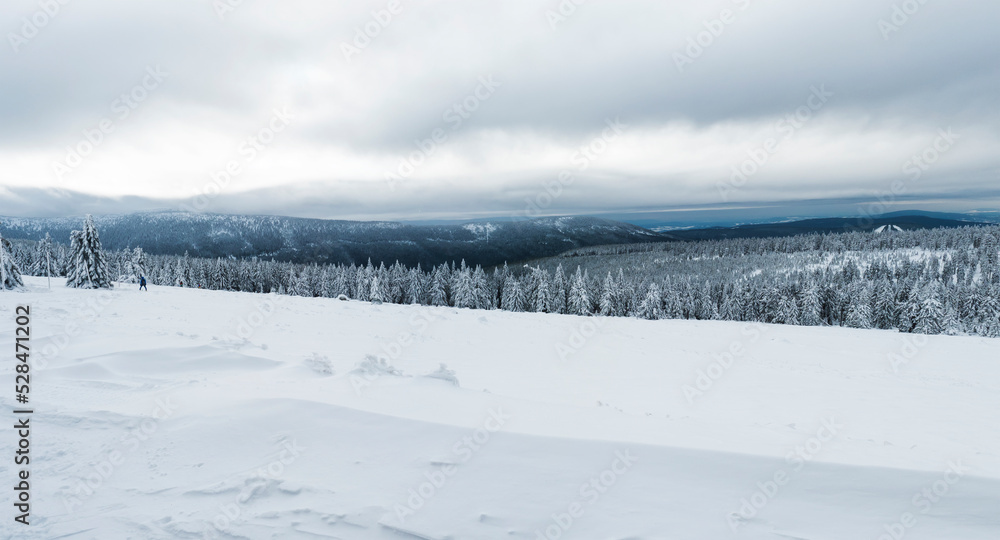 Panoramic view of winter landscape with fields downhill over snowy spruce tree forest with snow covered conifers. Krkonose Mountains, Czech Republic, cloudy day Panoramic view of winter landscape with fields downhill over snowy spruce tree forest with snow covered conifers. Krkonose Mountains, Czech Republic, cloudy day