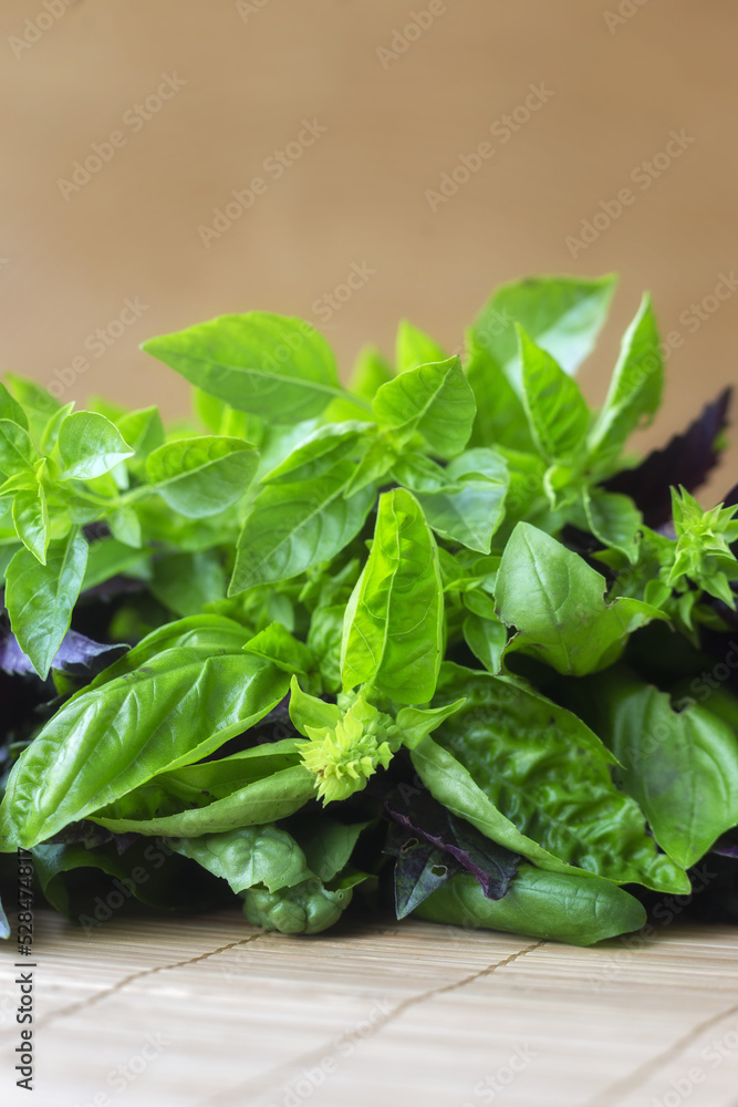 Sweet Basil green and red with flowers growing Sweet Basil green and red with flowers growing