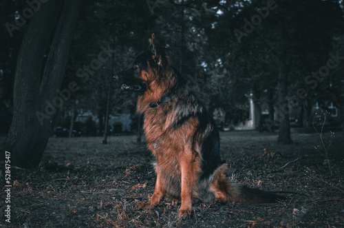 Max