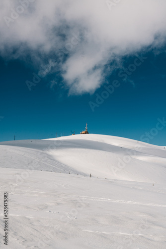 winter mountain cabin with snow