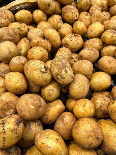 Fresh unwashed organic potato from the farmer