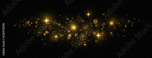 Sparkling space golden magical dust particles. Christmas light concept. Golden confetti and shiny stars.