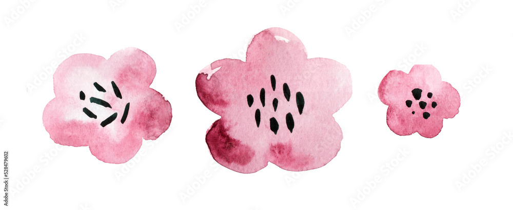 Watercolor pink flowers, hellebores isolated on a white background. Botanical illustration. Set Floral design elements