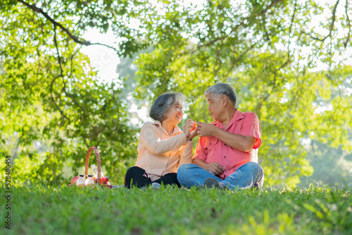 Happy old elderly couple spouses relaxing and sitting on a blanket in the park and sharing few precious memories. Senior couple having great time together on a picnic. concept of mature relationships © Prot