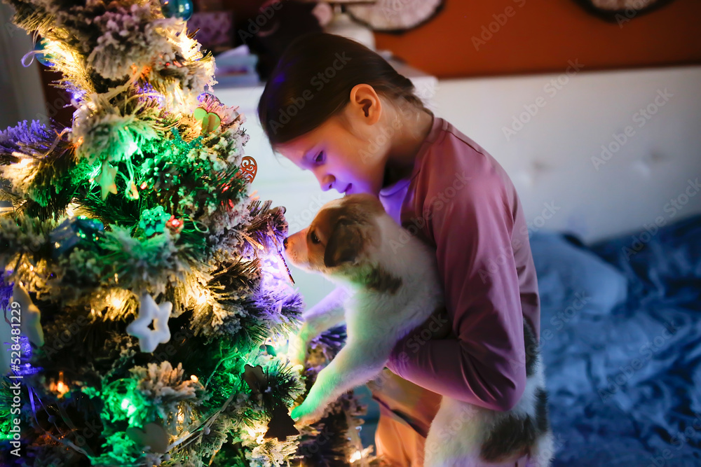 Cute preteen kid girl with dog puppy decorates Christmas tree in bedroom