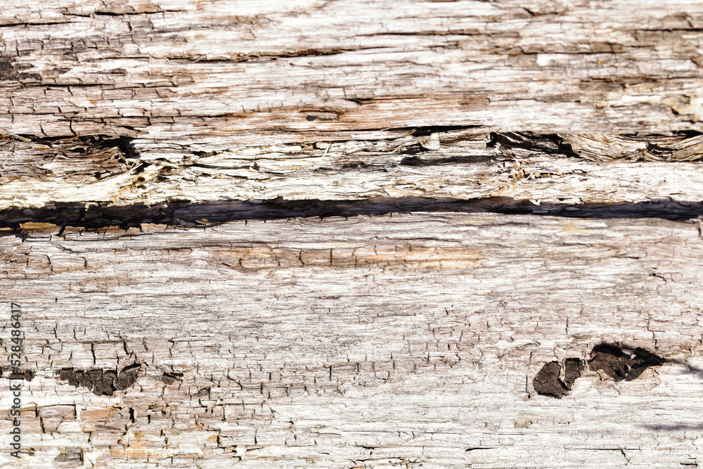 Naklejka premium texture de bois mort fendu horizontalement