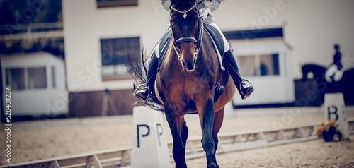 Equestrian sport. Dressage of horses in the arena. Fototapet