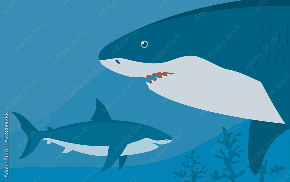 Prehistoric underwater shark megalodon with fins. Predatory sea fish. Scary jaws with teeth. Wildlife of the Jurassic period. Cartoon illustration Prehistoric underwater shark megalodon with fins. Predatory sea fish. Scary jaws with teeth. Wildlife of the Jurassic period. Cartoon illustration