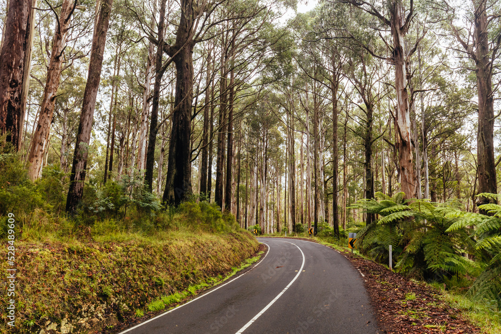 Woods Point Rd Drive in Victoria Australia