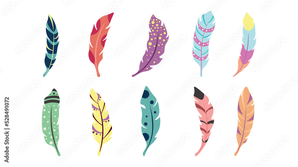 Set colorful feathers in cartoon style. Vector illustration of feather fantastic and paradise birds on white background.