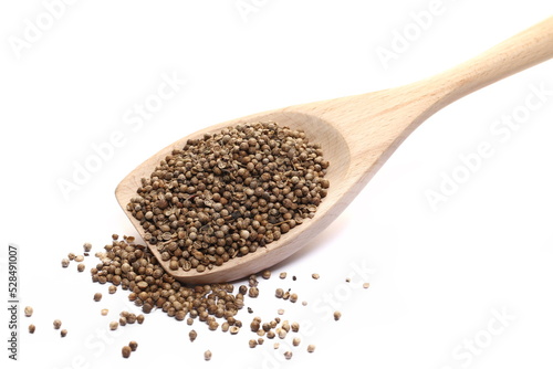 Coriander seeds in wooden spoon isolated on white 