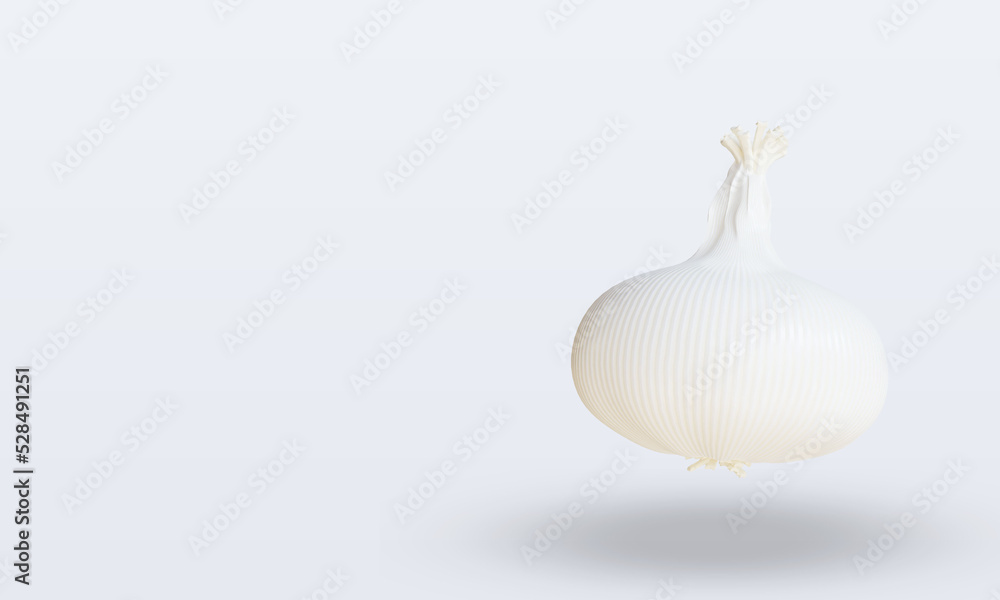 3d Vegetable Garlic rendering right view