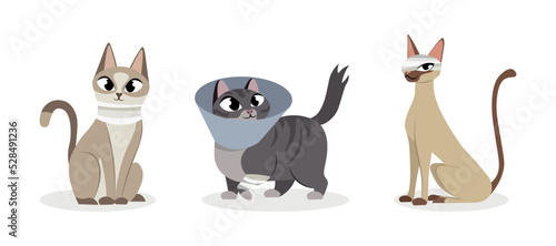 Vector illustration of cute and beautiful wounded cats on white background. Charming characters in different poses with rewound neck, paw and head in cartoon style.