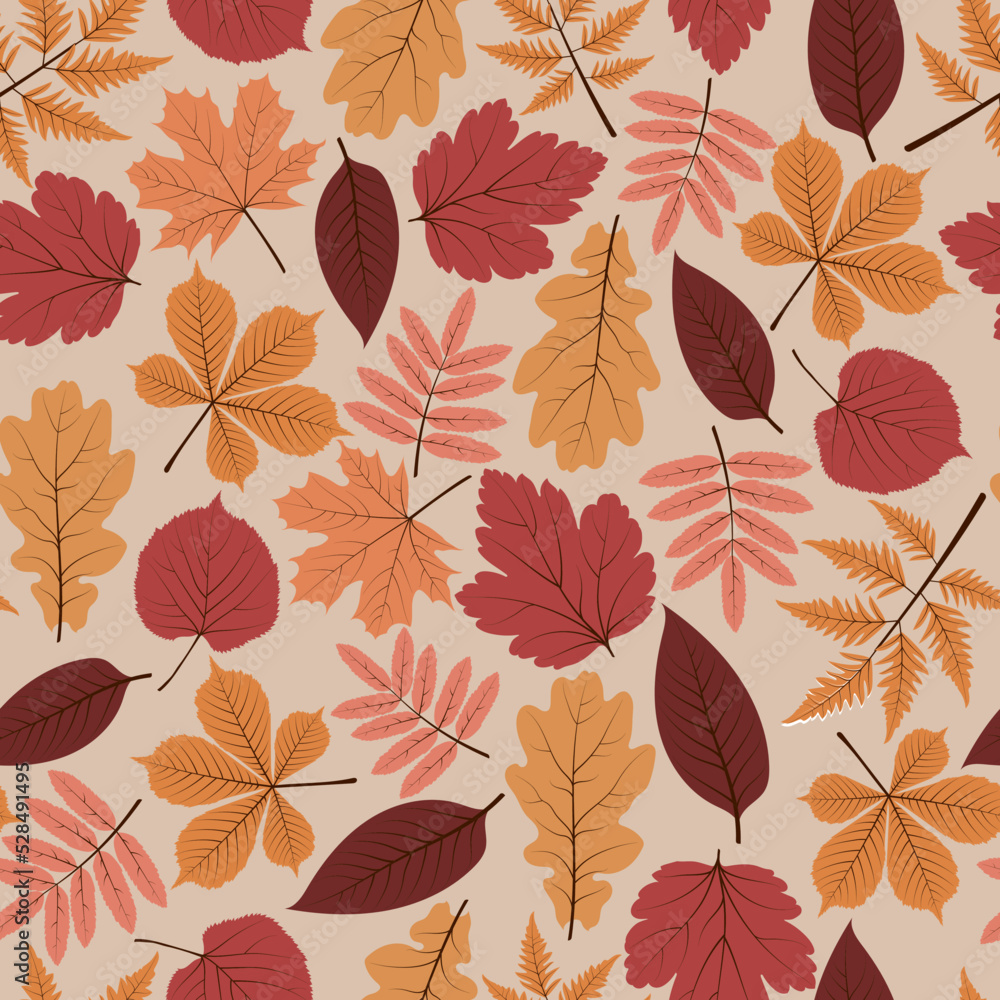 Pattern vector autumn leaves: birch leaf, maple, rowan, oak, chestnut, poplar. Pattern of autumn leaves. Pattern vector autumn leaves: birch leaf, maple, rowan, oak, chestnut, poplar. Pattern of autumn leaves.