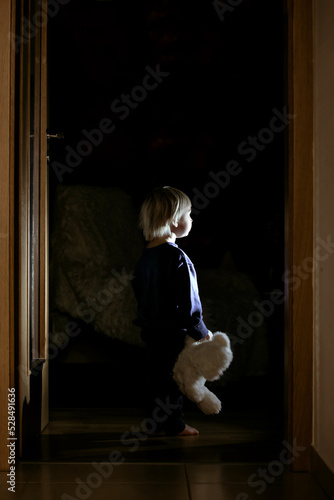 Toddler boy, hodling teddy bear, standing in hallway next to the door to bedroom, fairy tale picture photo