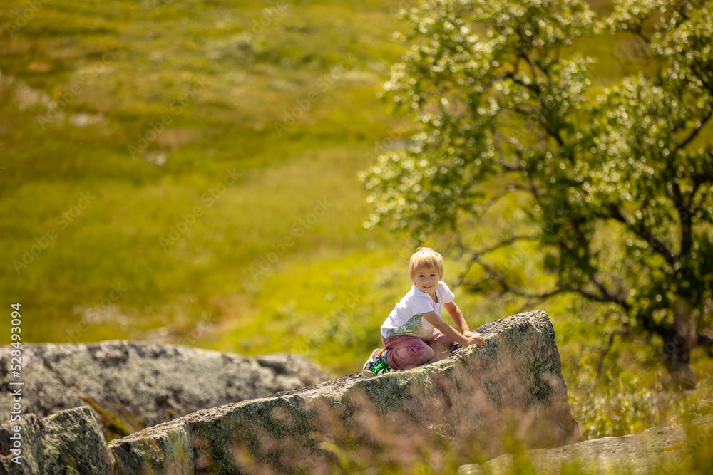 People, children enjoying the amazing views in Norway to fjords, mountains and other beautiful nature People, children enjoying the amazing views in Norway to fjords, mountains and other beautiful nature