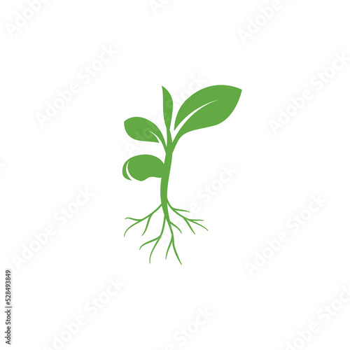Sprout eco logo icon. Green leaf seedling icon symbol. Growing plant design concept. Eco icon theme. Ecology icon. seed growing icon. Vector illustration