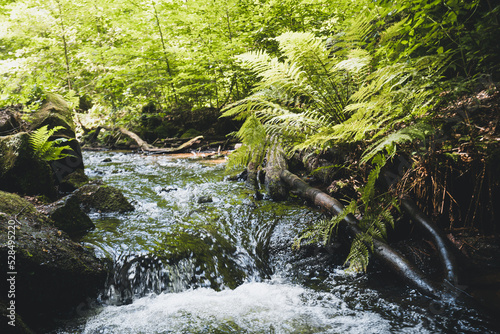 Karlstalschlucht Wasserfälle im Wald im Pfälzerwald in Rheinland Pfalz in Deutschland photo