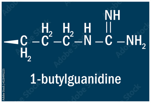 Chemical structure of the 1-butyl guanidine photo