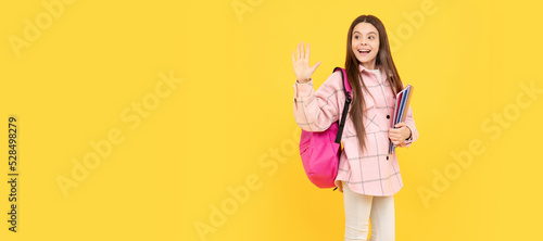 back to school. hello or goodbuy. teen girl in checkered shirt. happy kid waving hand. Portrait of schoolgirl student, studio banner header. School child face, copyspace. photo