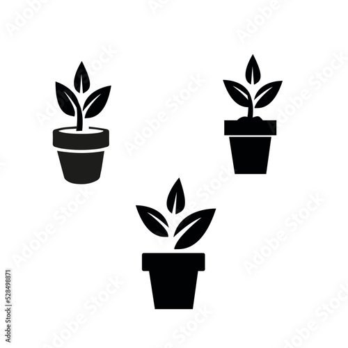 Plant vector in a pot. Growing tree with pot