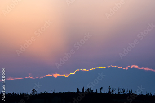 Silhouette of Pine Trees With Backlit Clouds and Purple Sky In The Distance