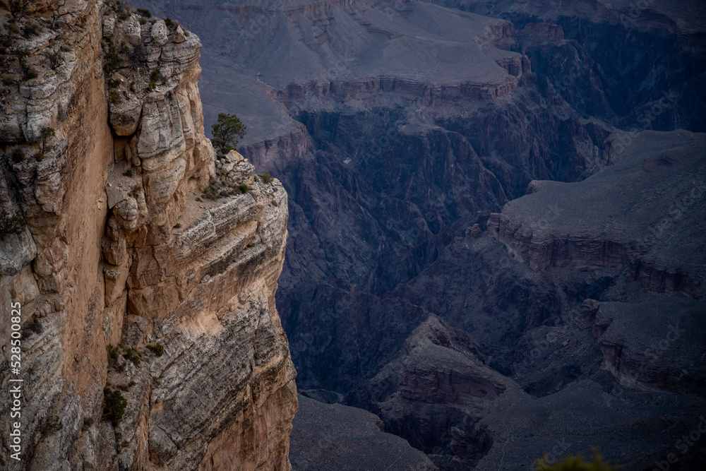 Small Tree Clings To The Edge Of A Small Cliff in The Grand Canyon