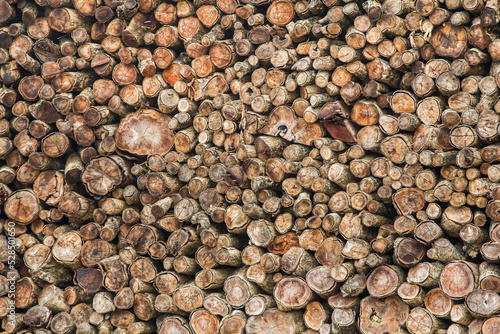 Pile of wood logs texture background