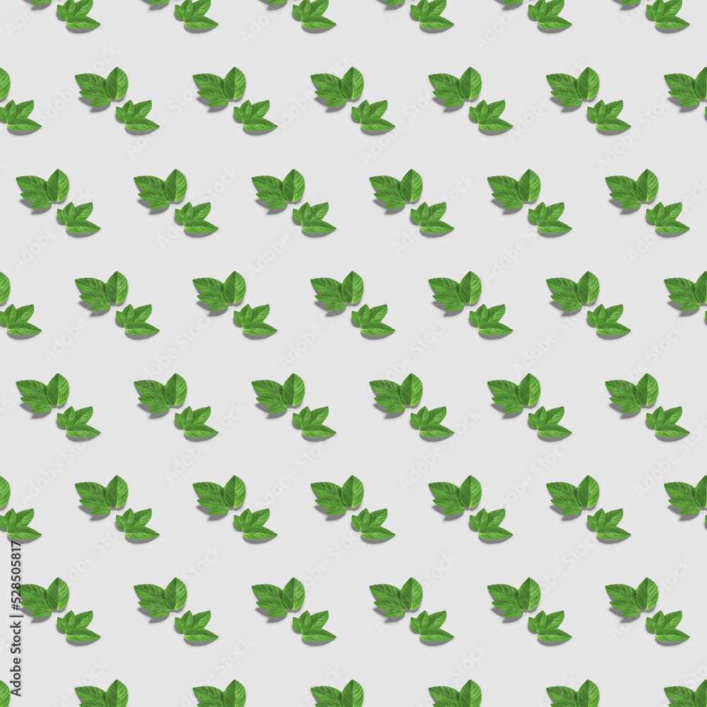 Fresh mint leaves on white background. Top view. Wallpaper abstract composition of mint. Fresh mint leaves on white background. Top view. Wallpaper abstract composition of mint.