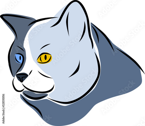 Vector illustration of a cat
