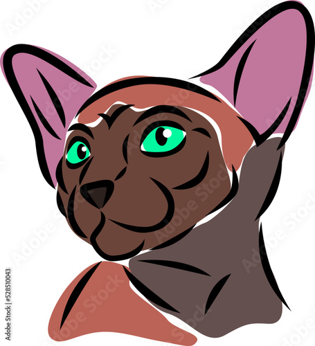 Vector illustration of a cat

