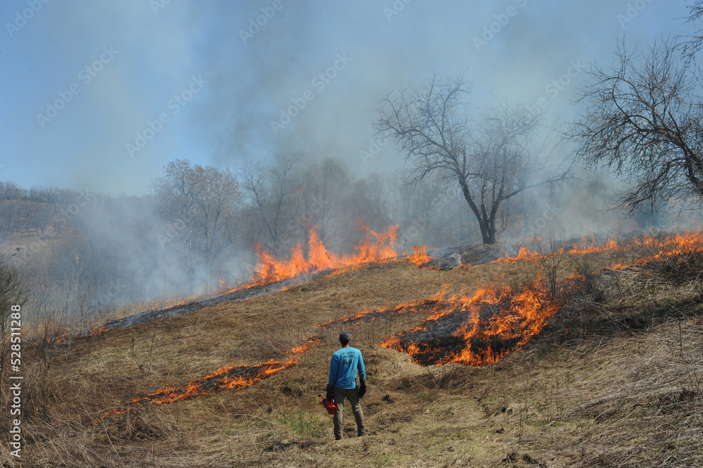 Obraz premium Prairie Burn With Prescribed Fire 