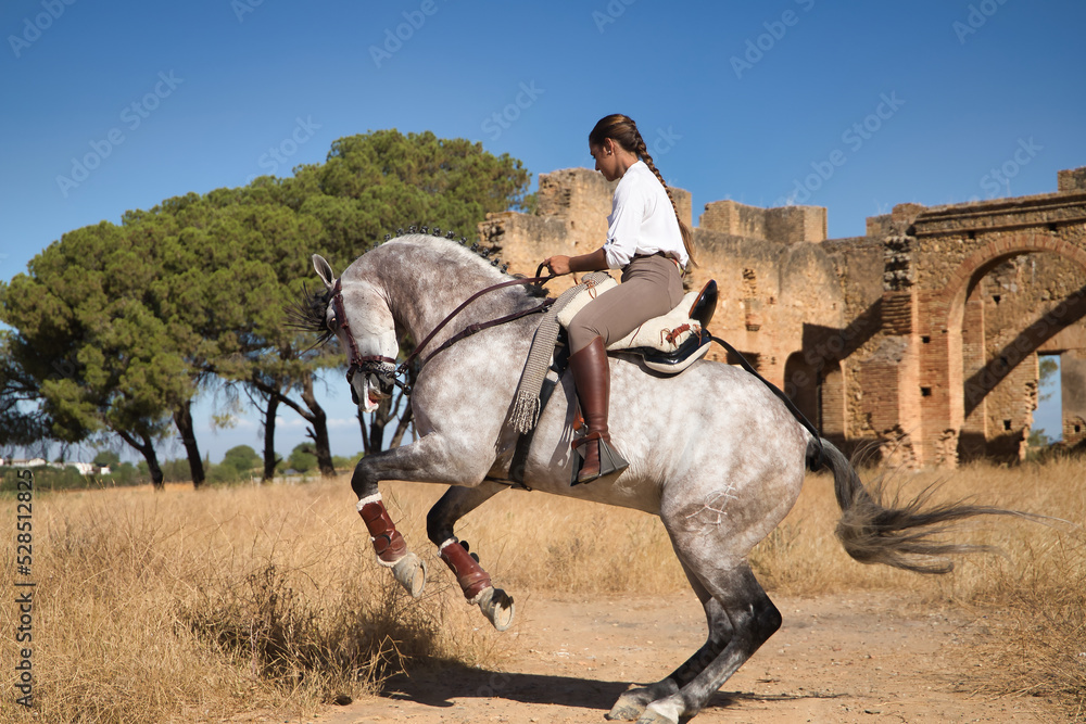 Ταπετσαρία Young beautiful woman performing turns riding her horse in the countryside next to an abandoned and ruined building on a sunny day