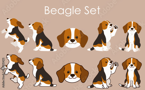 Simple and adorable Beagle illustrations set