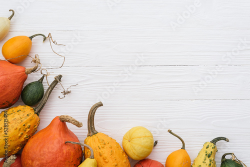 Harvest festival background with autumn border from squash and decorative gourds on white photo