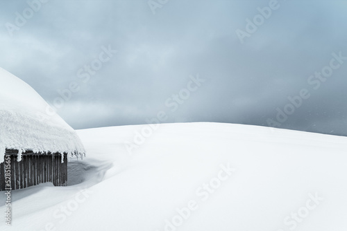 Vászonkép Winter background with place for text