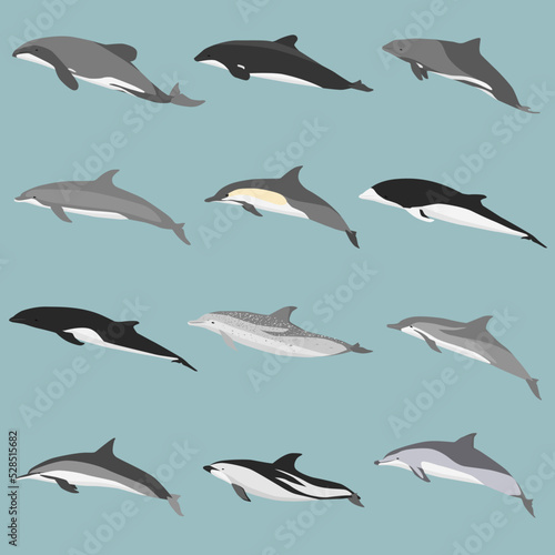 seamless pattern of dolphins