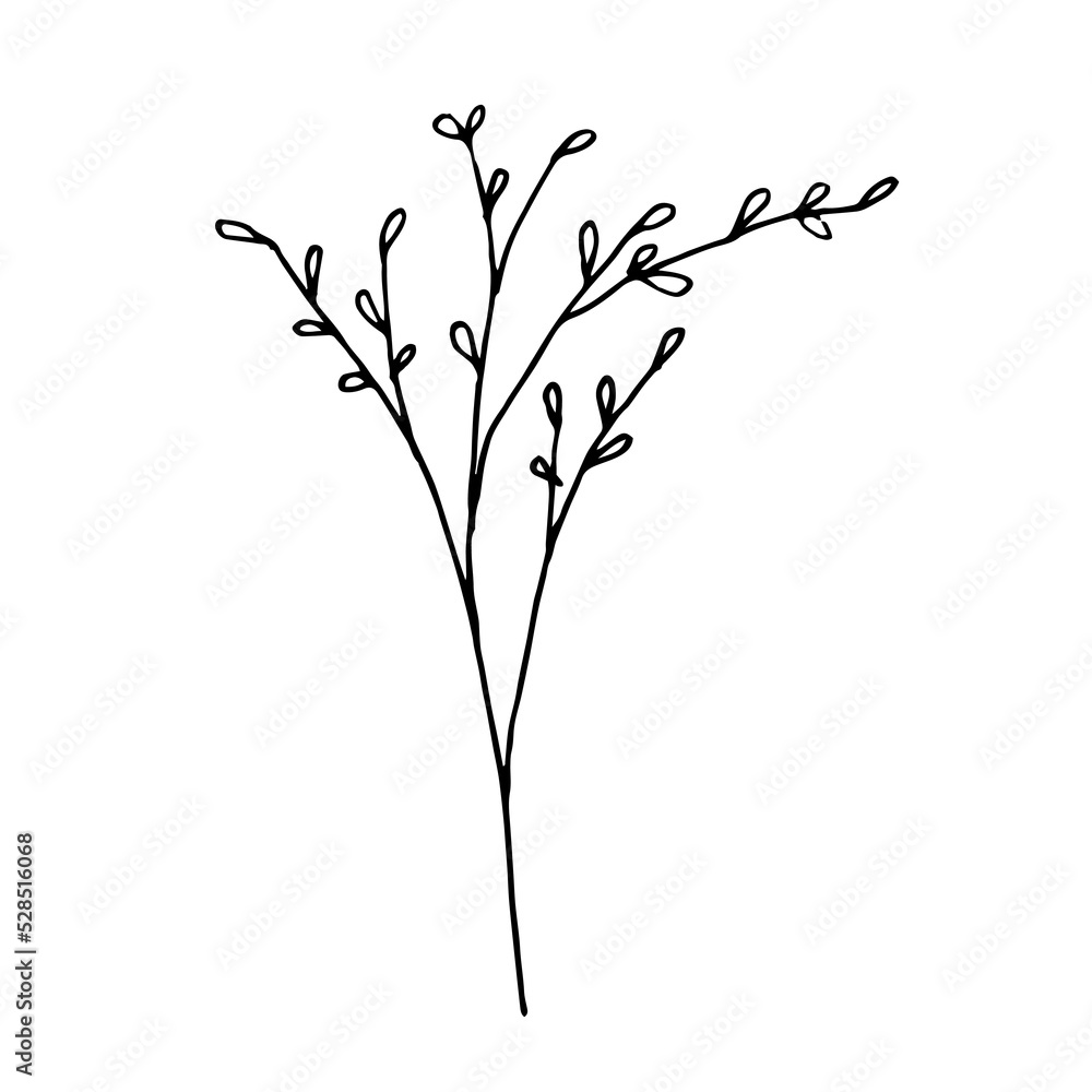 Hand drawn tree branch with leaves, vector doodle