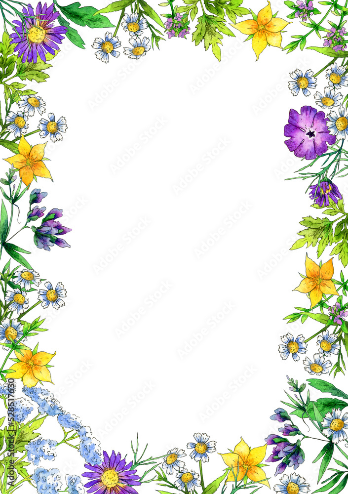 Obraz premium rectangular frame with wildflowers and herbs on a white background.