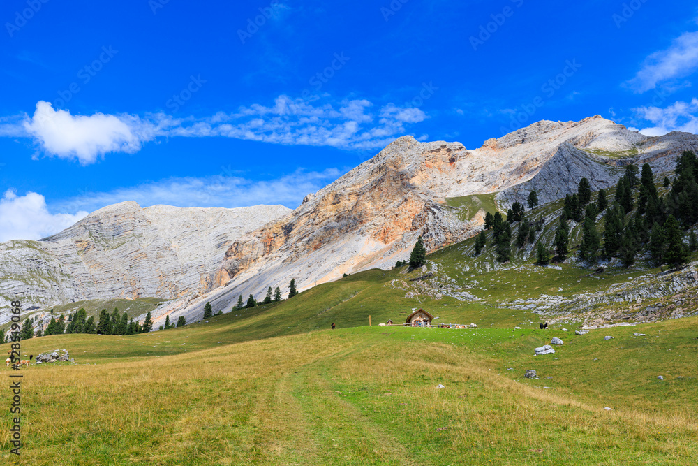 Forcella Lerosa - Dolomites - Italy