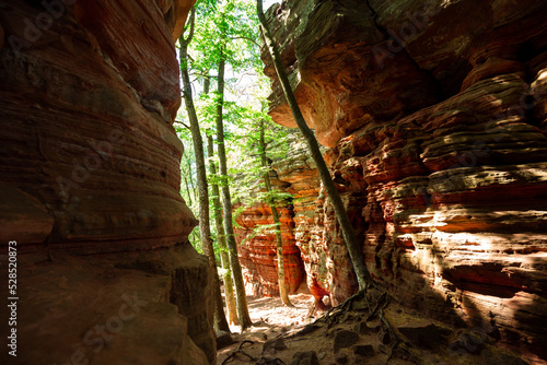 Altschlossfelsen Sandstein Felsen Türme im Wald im Pfälzerwald in Rheinland Pfalz in Deutschland