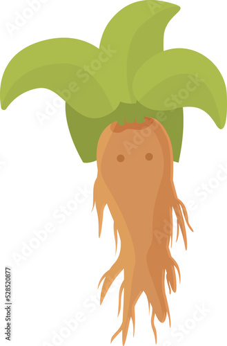 Agriculture mandrake icon cartoon vector. Magic mandragora. Herb plant