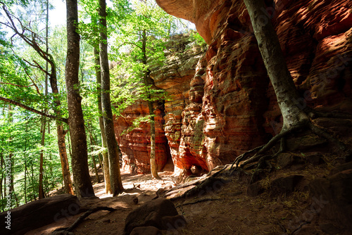 Altschlossfelsen Sandstein Felsen Türme im Wald im Pfälzerwald in Rheinland Pfalz in Deutschland
